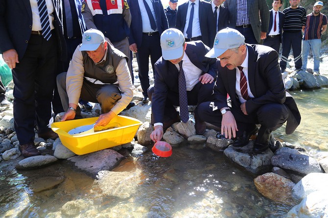 rizede-bir-milyonu-askin-alabalik-derelere-salinacak-(2).jpg