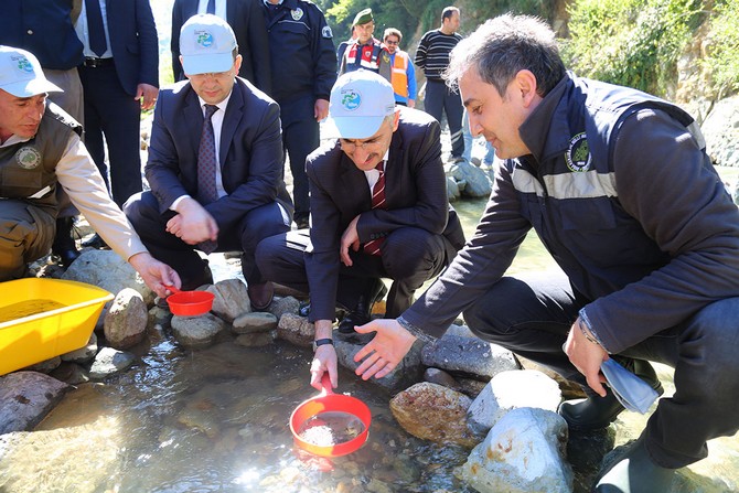 rizede-bir-milyonu-askin-alabalik-derelere-salinacak-(4).jpg