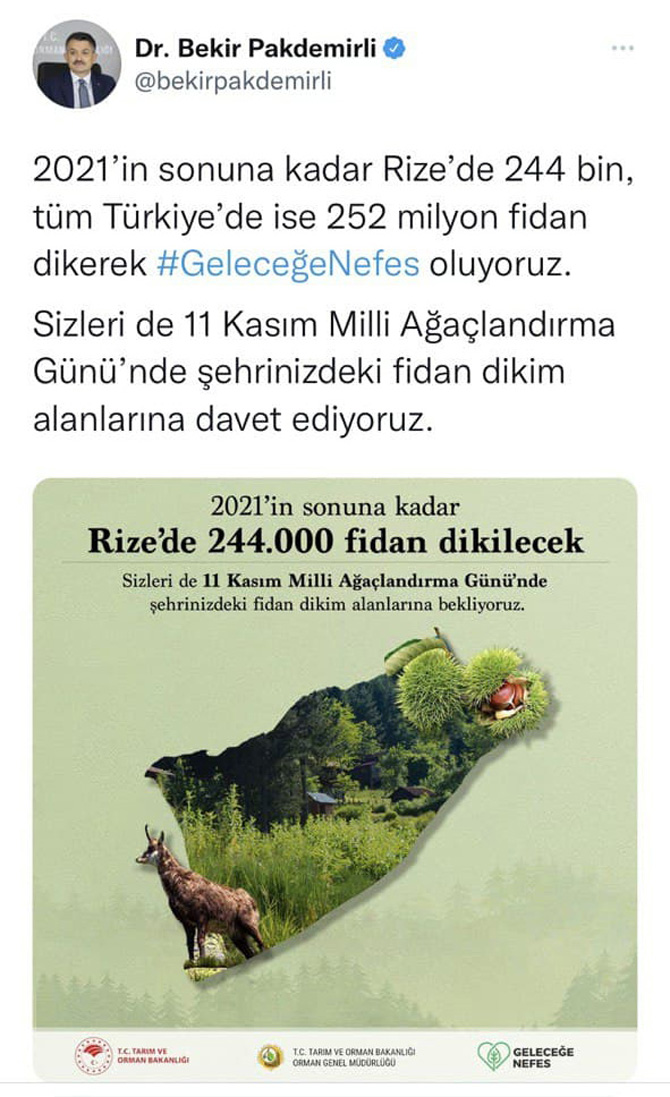 rizede-bu-yil-sonuna-kadarbu-244-bin-fidan-dikilecek.jpg