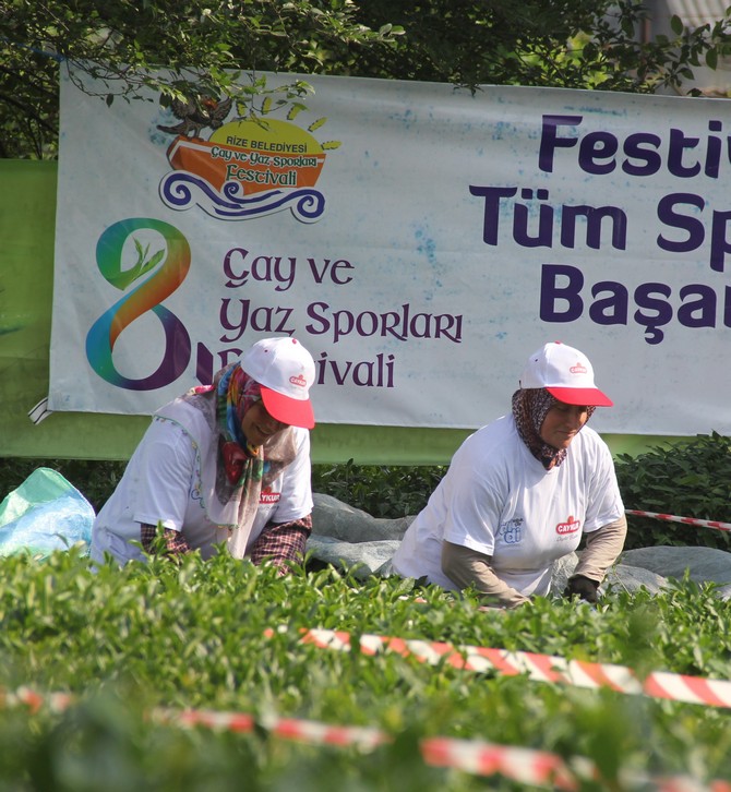 rizede-cay-toplama-yarismasi-duzenlendi-(1).jpg