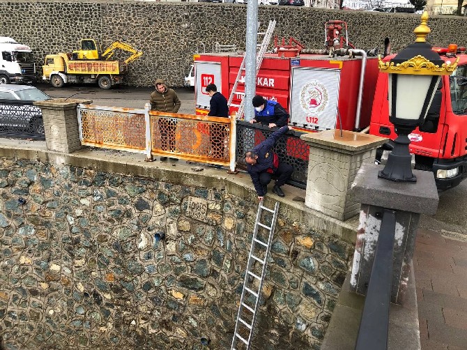 rizede-dere-yataginda-mahsur-kalan-kopek-itfaiye-ekiplerince-kurtarildi-4.jpg