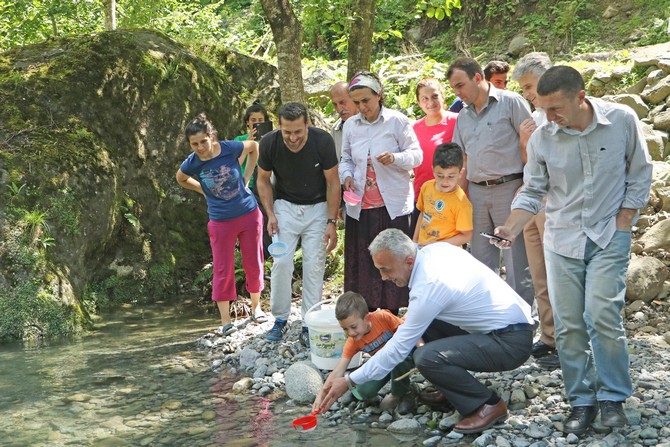 rizede-derelere-alabalik-birakildi-(1).jpg