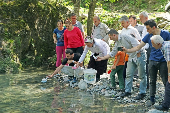 rizede-derelere-alabalik-birakildi-(2).jpg