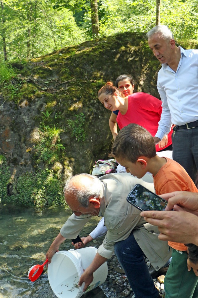 rizede-derelere-alabalik-birakildi-(4).jpg