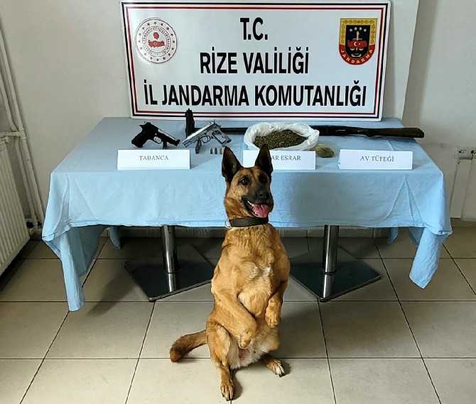 rizede-evinde-ruhsatsiz-4-silah-ve-uyusturucu-bulunan-kisi-gozaltina-alindi-1.jpg