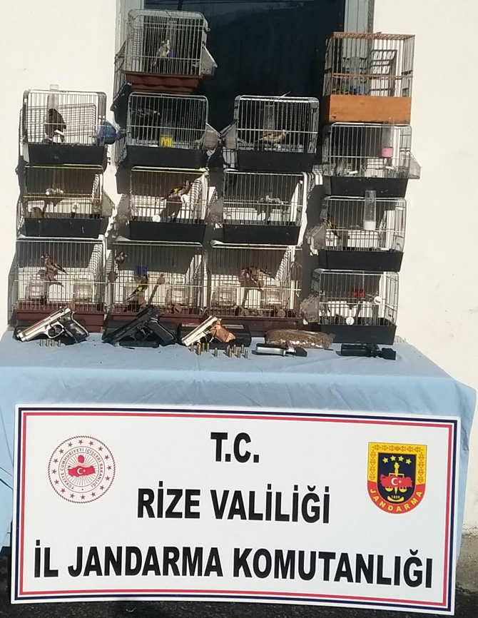 rizede-il-jandarma-komutanligi-tarafindan-yapilan-operasyonda-nesli-koruma-altindaki-kus-turleri-ele-gecirildi..jpg