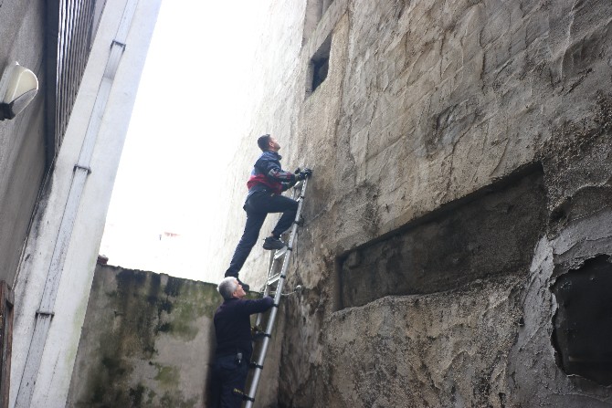rizede-itfaiyeden-guvercin-kurtarma-operasyonu-2.jpg