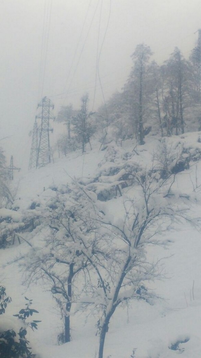 rizede-kar-elektrikleri-kesti-(7).jpg