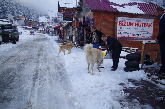 rizede-karda-ac-kalan-hayvanlara-yem-biraktilar-(16).jpg