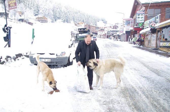 rizede-karda-ac-kalan-hayvanlara-yem-biraktilar-(18).jpg