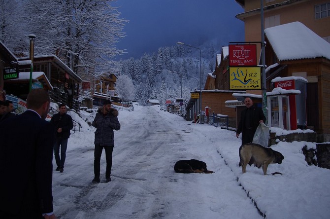rizede-karda-ac-kalan-hayvanlara-yem-biraktilar-(4).jpg