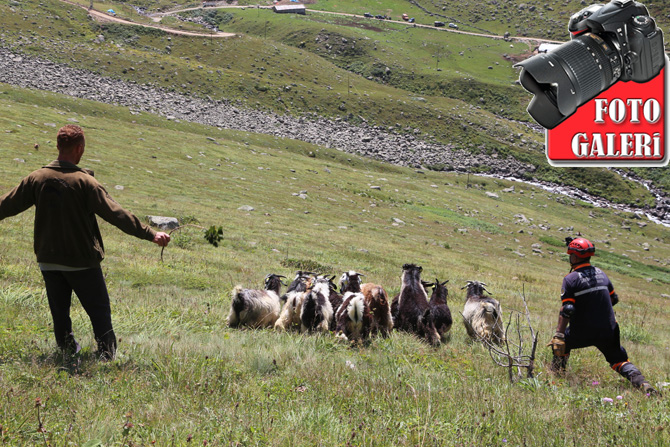 rizede-kayip-keciler-icin-afad-seferber-oldu-foto-galeri.jpg rizede-kayip-keciler-icin-afad-seferber-oldu-foto-galeri.jpg