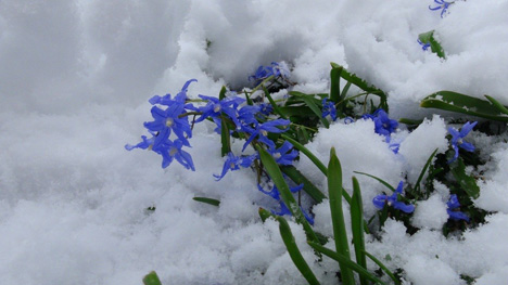 rizede-mart-kari-yagdi2.jpg rizede-mart-kari-yagdi2.jpg