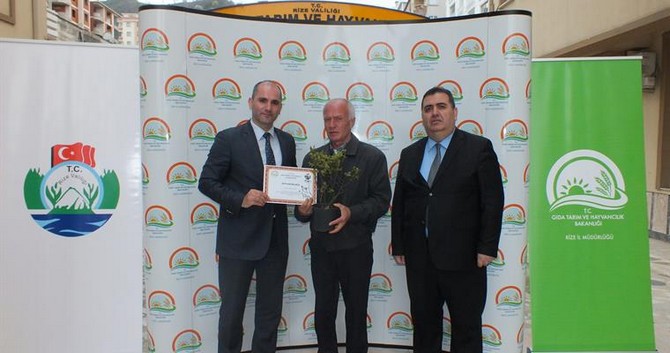 rizede-maviyemis-fidani-dagitildi-(6).jpg