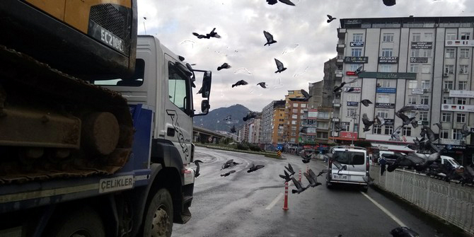 rizede-menderes-bulvari-guvercinlere-kaldi-(19).jpg