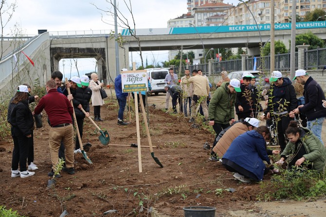 rizede-milli-agaclandirma-gununde-fidanlar-toprakla-bulusturuldu-7.jpg
