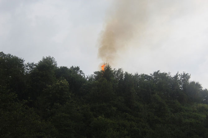 rizede-orman-yangini-004.jpg