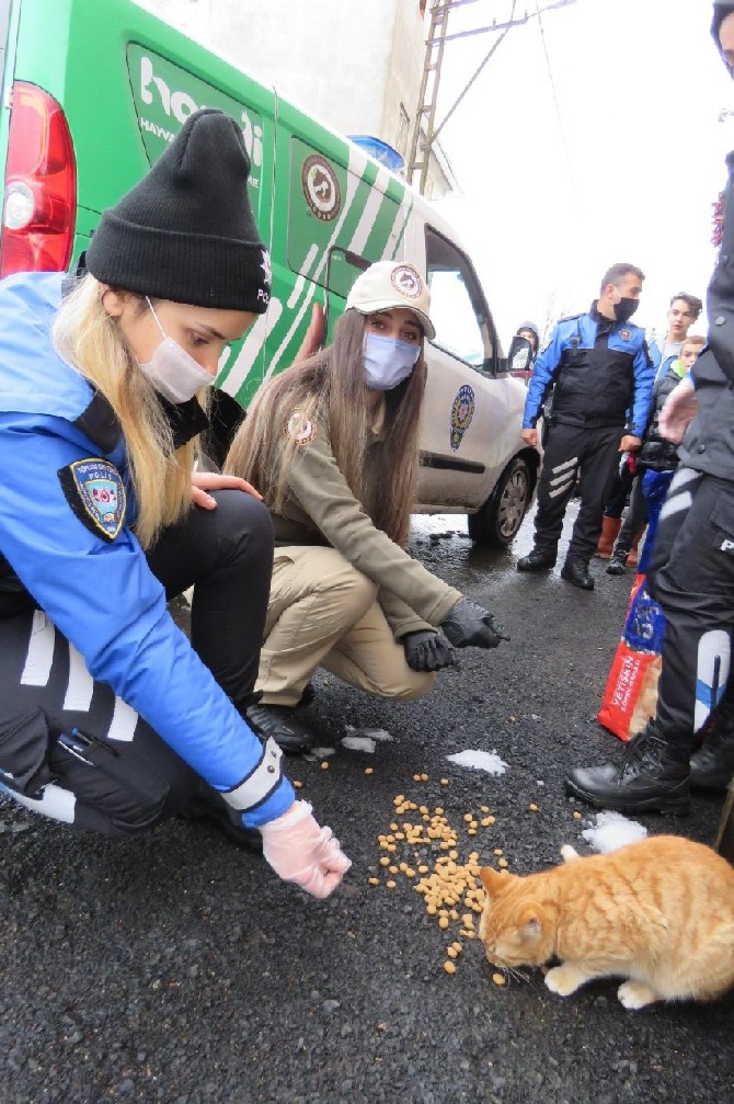 rizede-polis-ekipleri-kar-nedeniyle-yiyecek-bulamayan-sokak-hayvanlarini-unutmadi-(1).jpg