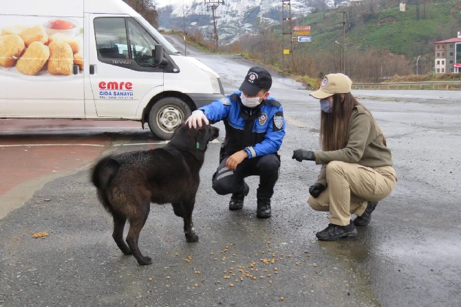rizede-polis-ekipleri-kar-nedeniyle-yiyecek-bulamayan-sokak-hayvanlarini-unutmadi-(2).jpg