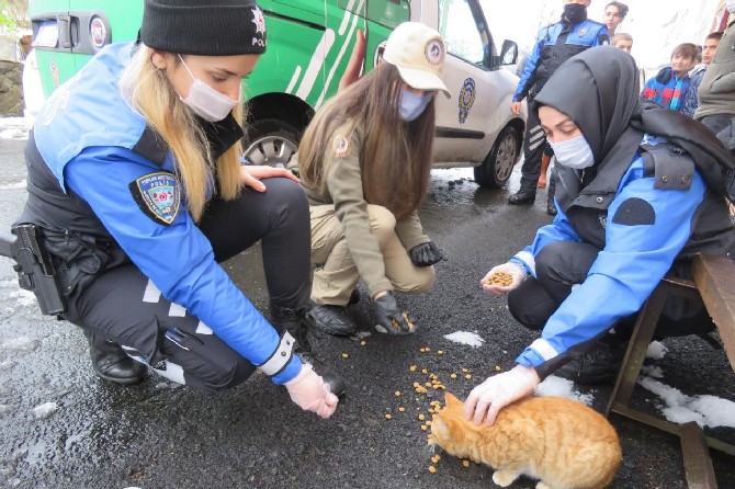 rizede-polis-ekipleri-kar-nedeniyle-yiyecek-bulamayan-sokak-hayvanlarini-unutmadi-(3).jpg