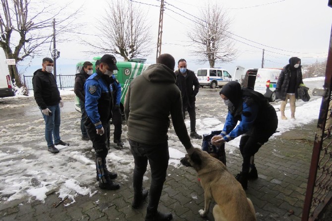 rizede-polis-ekipleri-kar-nedeniyle-yiyecek-bulamayan-sokak-hayvanlarini-unutmadi-(5).jpg