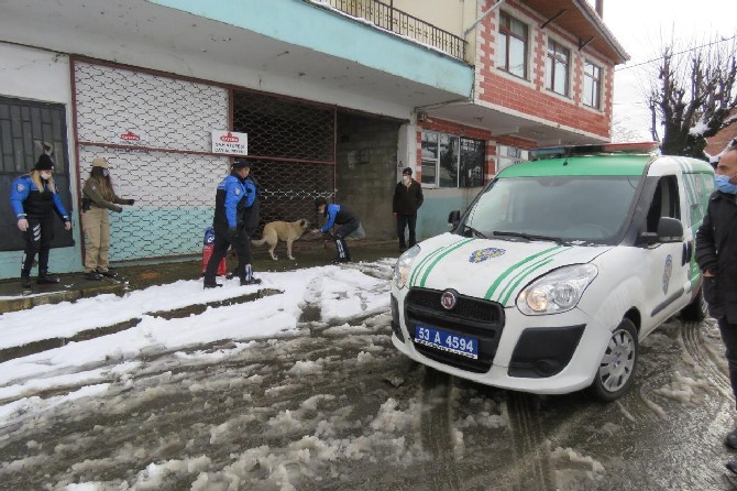rizede-polis-ekipleri-kar-nedeniyle-yiyecek-bulamayan-sokak-hayvanlarini-unutmadi-(7).jpg