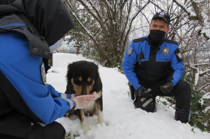 rizede-polis-ekipleri-kar-nedeniyle-yiyecek-bulamayan-sokak-hayvanlarini-unutmadi-(9).jpg