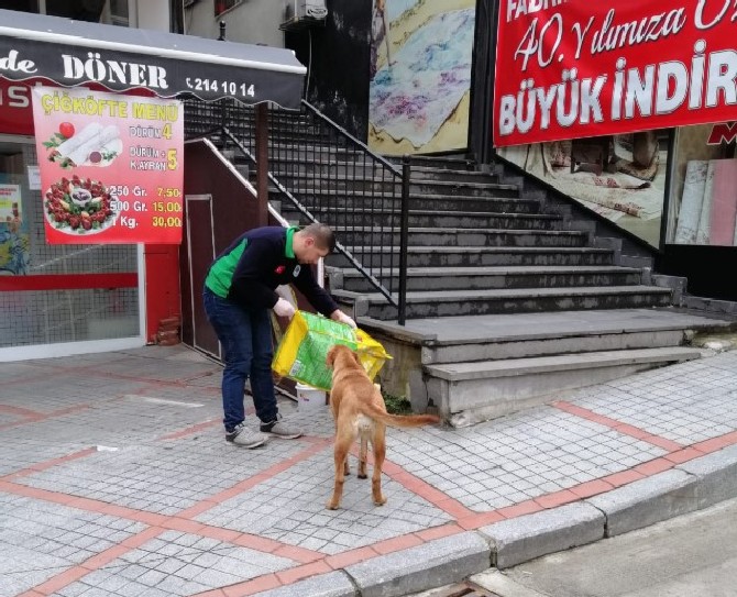 rizede-sokak-hayvanlari-icin-yem-birakildi-(4).jpg