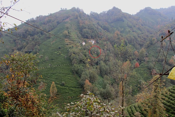 rizede-tarim-arazilerine-yol-gitmeyen-mahalle-sakinleri-her-gun-tehlikeli-bir-sekilde-ilkel-teleferikle-yolculuk-yapmak-zorunda-kaliyorlar-6.jpg