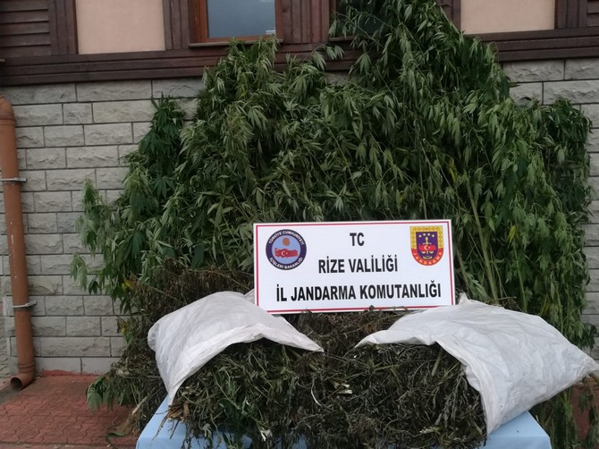 rizede-uyusturucu-operasyonu-002.jpg
