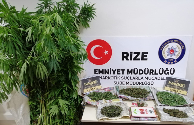 rizede-uyusturucu-operasyonu-1-005.jpg