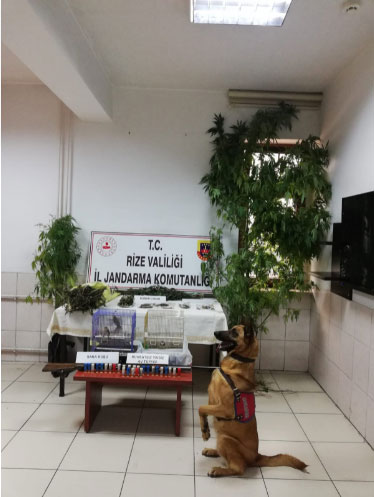rizede-uyusturucu-operasyonunda-1-zanli-yakalandi.jpg