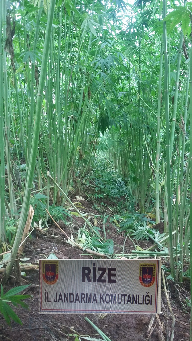 rizede-uyusturucuya-darbe.jpg rizede-uyusturucuya-darbe.jpg