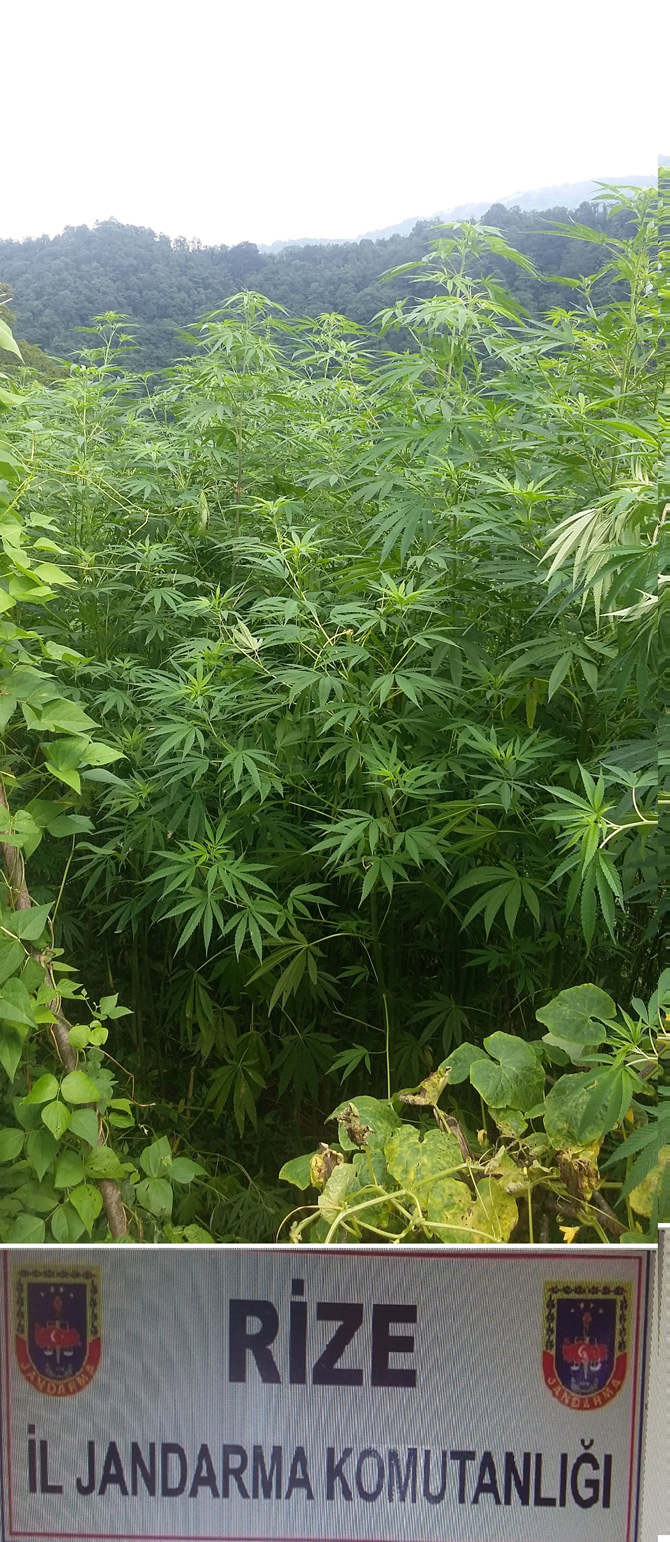 rizede-uyusturucuya-darbe1.jpg rizede-uyusturucuya-darbe1.jpg