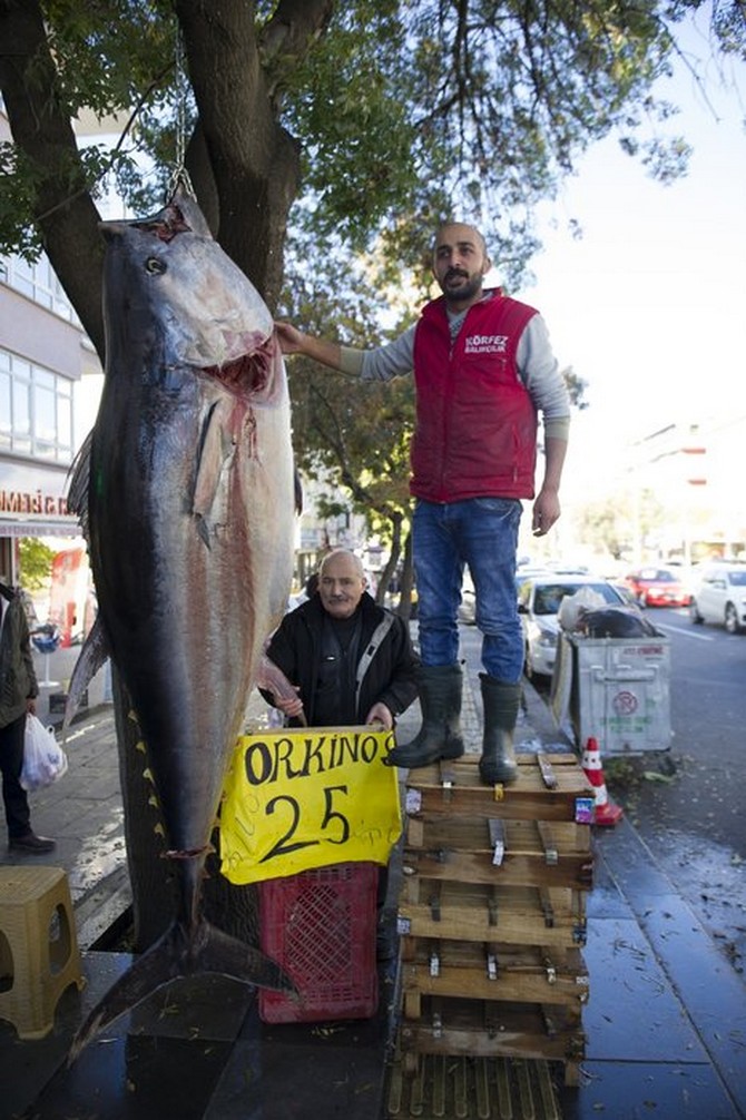 rizede-yakalandi,-ankarada-satisa-sunuldu-tam-391-kilo-(1).jpg