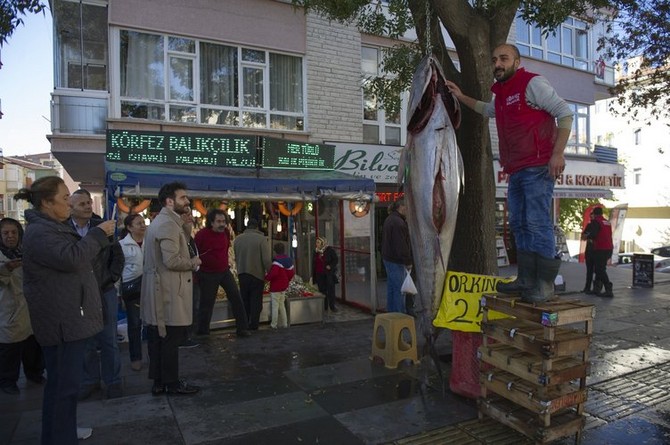 rizede-yakalandi,-ankarada-satisa-sunuldu-tam-391-kilo-(2).jpg