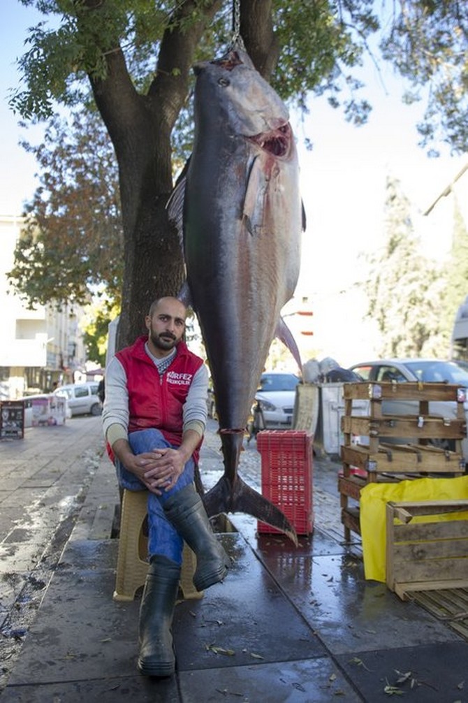 rizede-yakalandi,-ankarada-satisa-sunuldu-tam-391-kilo-(3).jpg