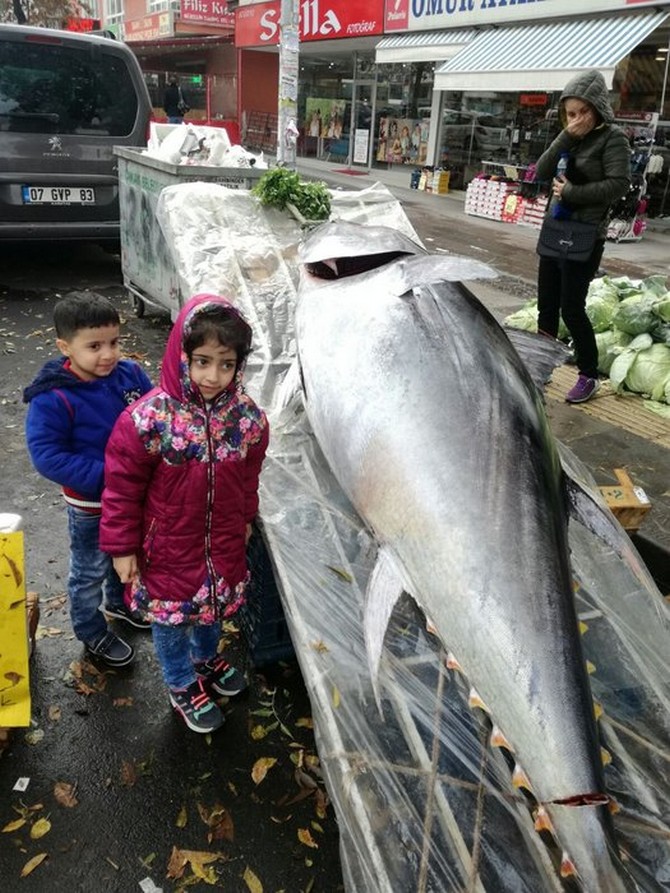 rizede-yakalandi,-ankarada-satisa-sunuldu-tam-391-kilo-(6).jpg