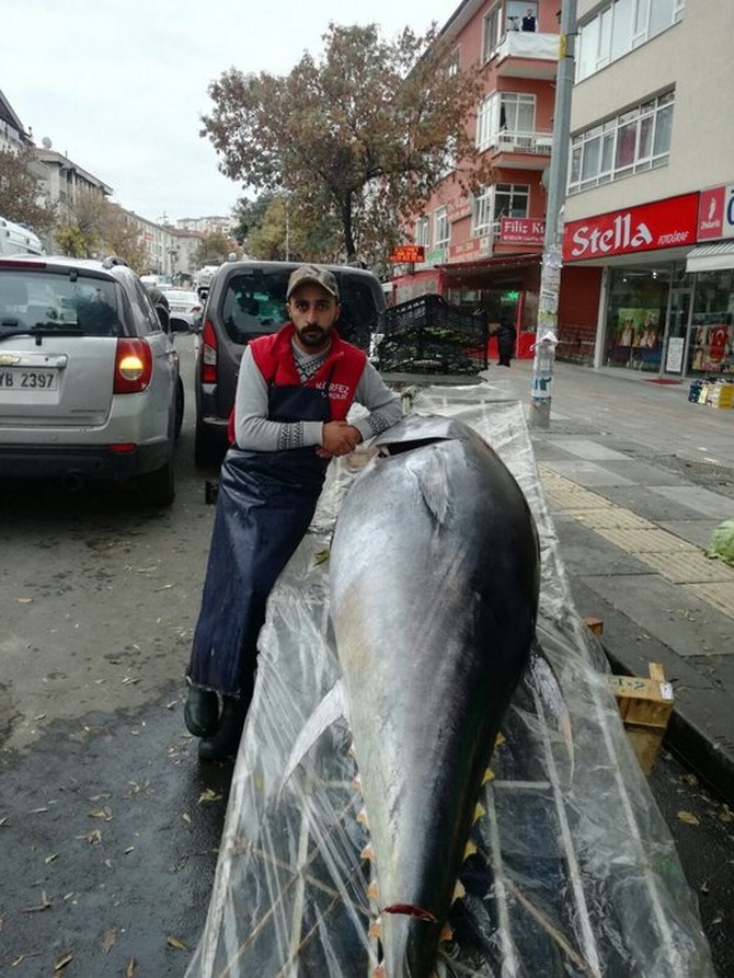 rizede-yakalandi,-ankarada-satisa-sunuldu-tam-391-kilo-(7).jpg