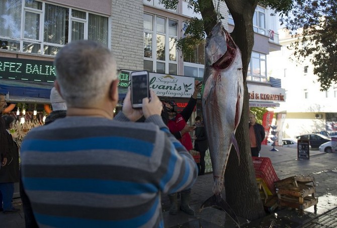 rizede-yakalandi,-ankarada-satisa-sunuldu-tam-391-kilo-(9).jpg