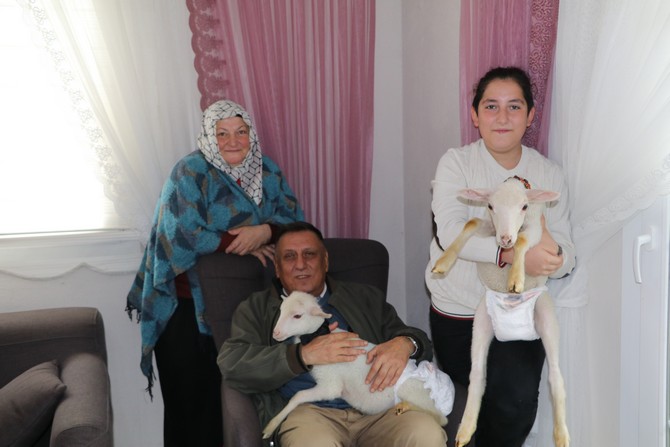 rizede-yasayan-bayraktutan-ailesi-anneleri-olmus-kuzulara-evlerinde-bebek-gibi-bakiyorlar-4.jpg