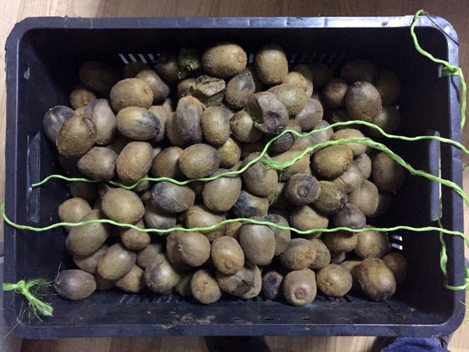 rizeden-kargoyla-gonderilen-kivi-kasasindan-silah-cikti-1.jpg rizeden-kargoyla-gonderilen-kivi-kasasindan-silah-cikti-1.jpg