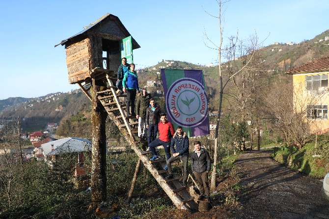 rizeli-genc-8-metre-yuksekligindeki-kiraz-agacina-kulube-yapti-(9).jpg