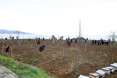 rizeli-kadinlar-bereket-ormani-icin-seferber-oldular-2.jpg rizeli-kadinlar-bereket-ormani-icin-seferber-oldular-2.jpg