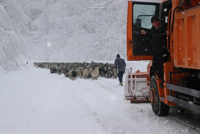 rizenin-camlihemsin-ilcesinde-soguk-hava-ve-kar-yagisi-yasami-olumsuz-etkiliyor.-hayvancilikla-ugrasan-bazi-yaylacilar-da-karin-bastirmasinin-ardindan-hayvanlari-ile-asagi-kesimlere-inmeye-basladi-(4).jpg