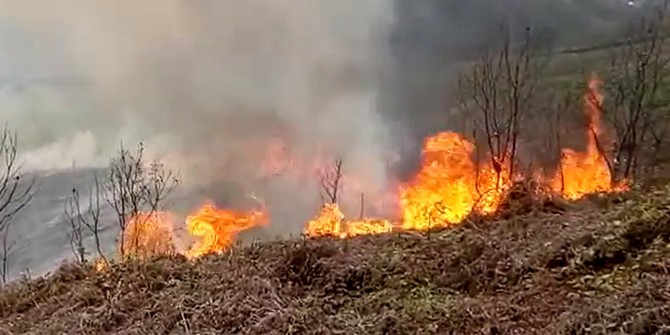 rizenin-derepazari-ilcesinde-arazisindeki-otlari-yakmak-isteyen-bir-vatandas,-ruzgarin-da-etkisiyle-5-donumluk-alanda-yangin-cikmasina-neden-oldu-(3).jpg