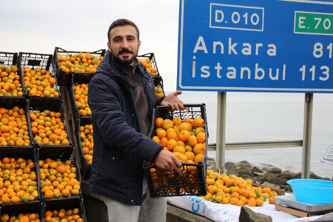 rizenin-derepazari-ilcesinde-yetisen-mandalinasi-karadeniz-sahil-yolundaki-satis-tezgahlarina-indi-4.jpg