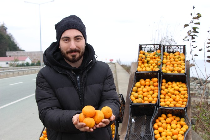 rizenin-derepazari-ilcesinde-yetisen-mandalinasi-karadeniz-sahil-yolundaki-satis-tezgahlarina-indi-5.jpg