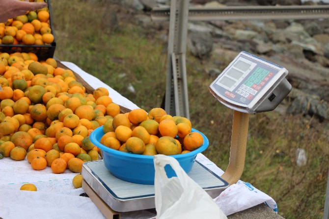 rizenin-derepazari-ilcesinde-yetisen-mandalinasi-karadeniz-sahil-yolundaki-satis-tezgahlarina-indi-6.jpg