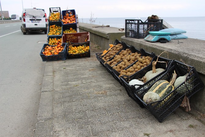 rizenin-derepazari-ilcesinde-yetisen-mandalinasi-karadeniz-sahil-yolundaki-satis-tezgahlarina-indi-7.jpg